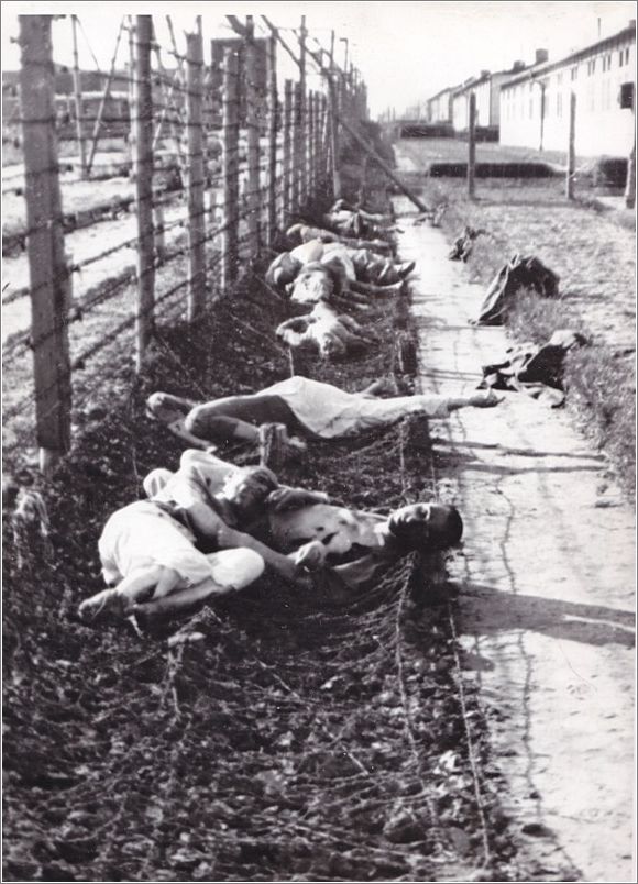 Murdered along the barb wire at Mauthausen